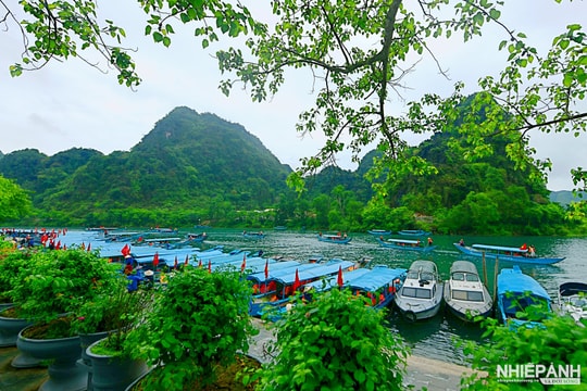 (Ảnh): Phong Nha – Kẻ Bàng (Quảng Trị): Vẻ đẹp bất tận nơi “đệ nhất động” 