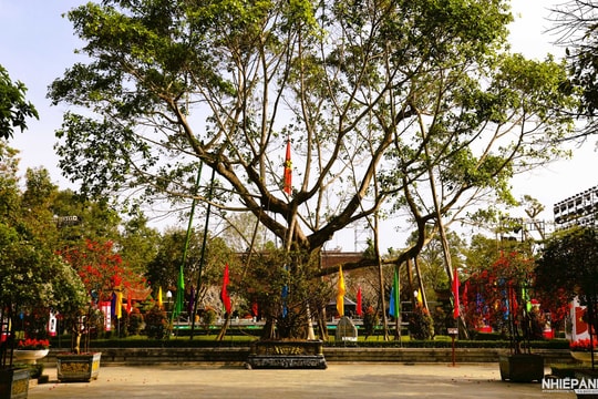 Nghệ An
Tổ chức nhiều sự kiện tại “Lễ hội Làng Sen” năm 2026
