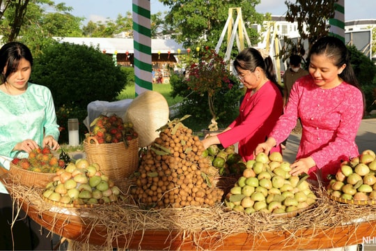 Đồng Tháp khai mạc Lễ hội Trái cây lần thứ I năm 2026