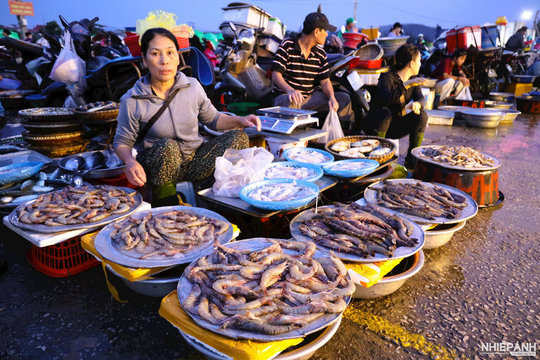 CÓ MỘT LÀNG CHÀI NGHI THỦY 