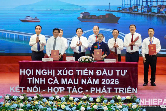Cà Mau tổ chức Hội nghị Xúc tiến đầu tư năm 2026 