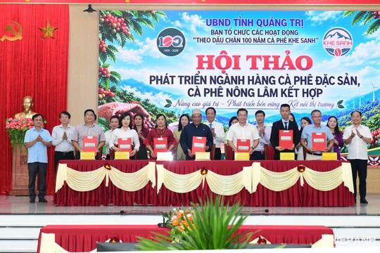 Quảng Trị định hướng phát triển cà phê đặc sản gắn với nông lâm kết hợp