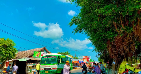 Chuyến xe buýt liên huyện Cà Mau – Sông Đốc: Hành trình ngập tràn vẻ đẹp làng quê