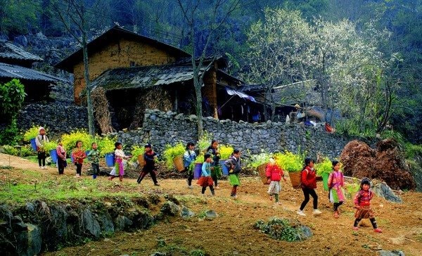 Kết quả thi ảnh quốc tế  “Rhino Cup 2025” tại Kenya