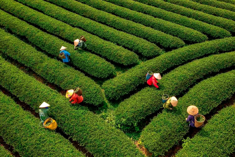 Khai mạc Triển lãm ảnh “Phụ nữ trong cuộc sống”: Tôn vinh nét đẹp của phụ nữ Việt Nam