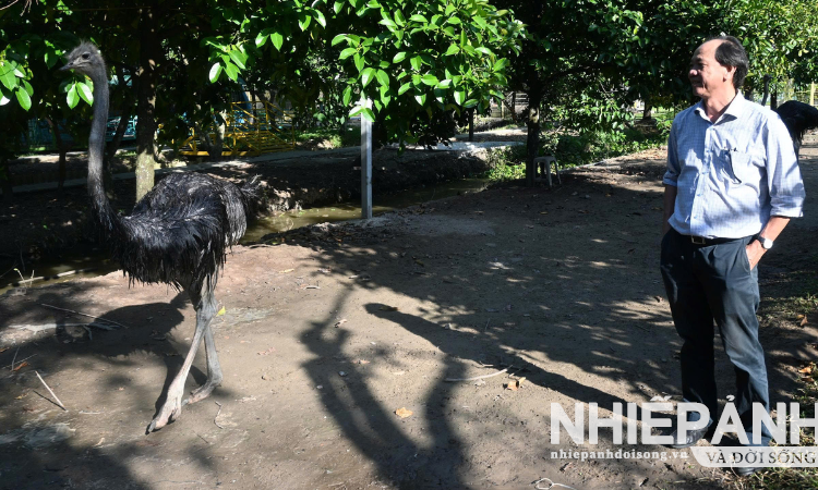 Cần Thơ: Làng du lịch Ông Đề trưng bày thú quý hiếm phục vụ khách du lịch
