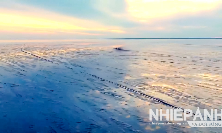 Một thoáng bãi bồi Mũi Cà Mau