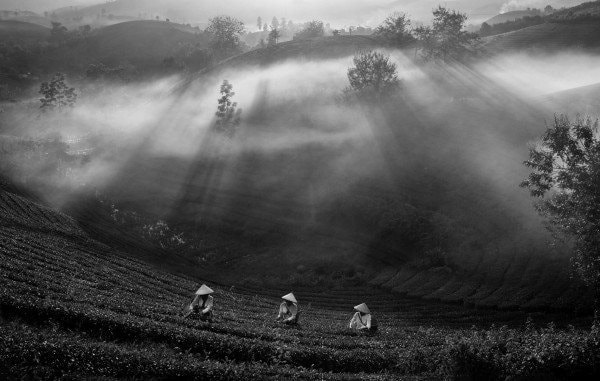 Kết quả thi ảnh quốc tế “PCA Club 2025” tại Serbia