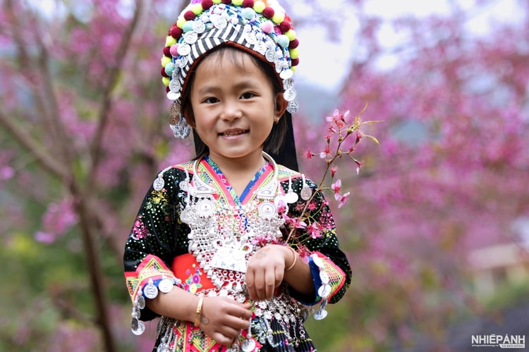 NSNA LÊ QUANG DŨNG
SỨC XUÂN TRONG CÔNG TÁC HỘI 
NGƯỜI CỐNG HIẾN TÀI NĂNG CHO NGHỆ THUẬT NHIẾP ẢNH
