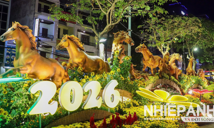 Cần Thơ: Khai mạc đường hoa nghệ thuật Xuân Bính Ngọ năm 2026