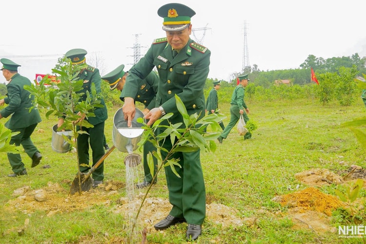 Bộ đội Biên phòng tỉnh Quảng Trị phát động “Tết trồng cây đời đời nhớ ơn Bác Hồ” Xuân Bính Ngọ 2026