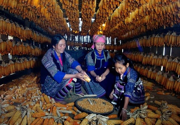 Kết quả thi ảnh quốc tế “Photo Winter-Nhiếp ảnh mùa đông 2026” tại Serbia