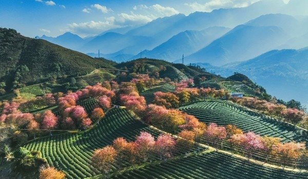 Kết quả thi ảnh quốc tế “PCA Salon 2026” tại Serbia