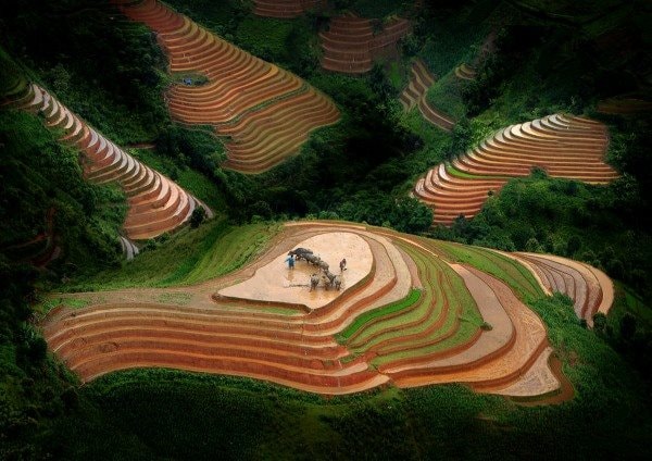 Phát động cuộc thi ảnh “Nông thôn Việt Nam 40 năm Đổi mới”