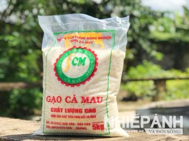 Cuộc thi “Gạo ngon vùng Đồng bằng sông Cửu Long” có gì hấp dẫn?