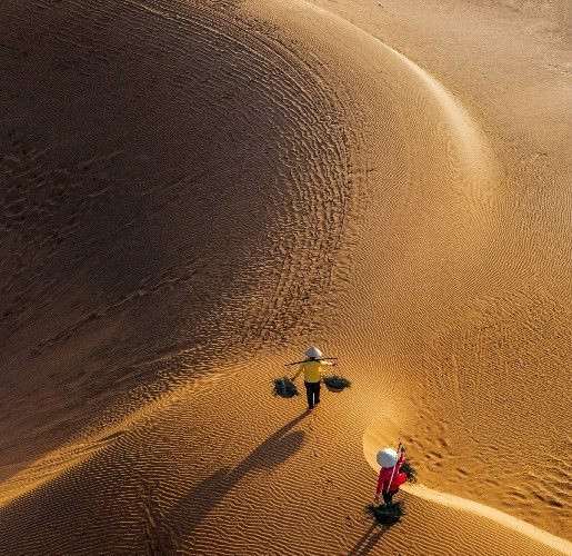 Những sáng tác mang hơi thở cuộc sống