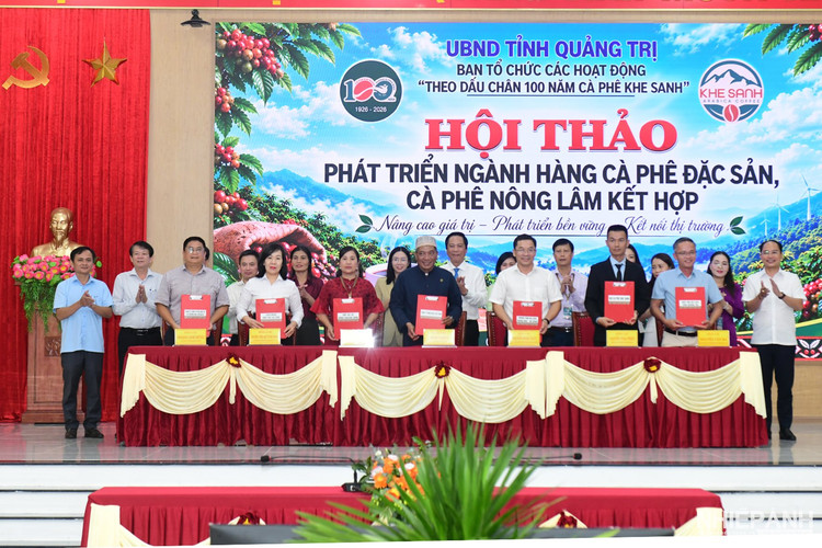 Quảng Trị định hướng phát triển cà phê đặc sản gắn với nông lâm kết hợp